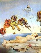 Dream Caused by the Flight of a Bee Around a Pomegranate a Second Before Awakening salvadore dali